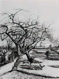 van gogh parsonage garden 1884 1 Art A4 Photo Print