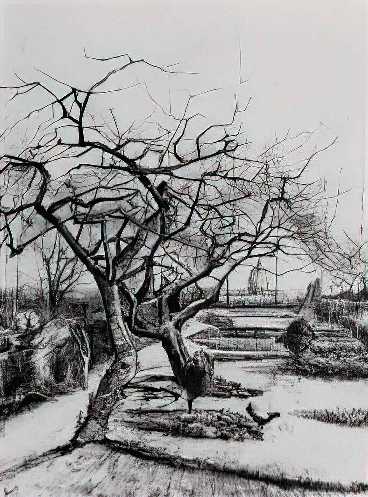 van gogh parsonage garden 1884 1 Art A4 Photo Print