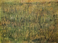 van gogh pasture in bloom 1887 Art A4 Photo Print