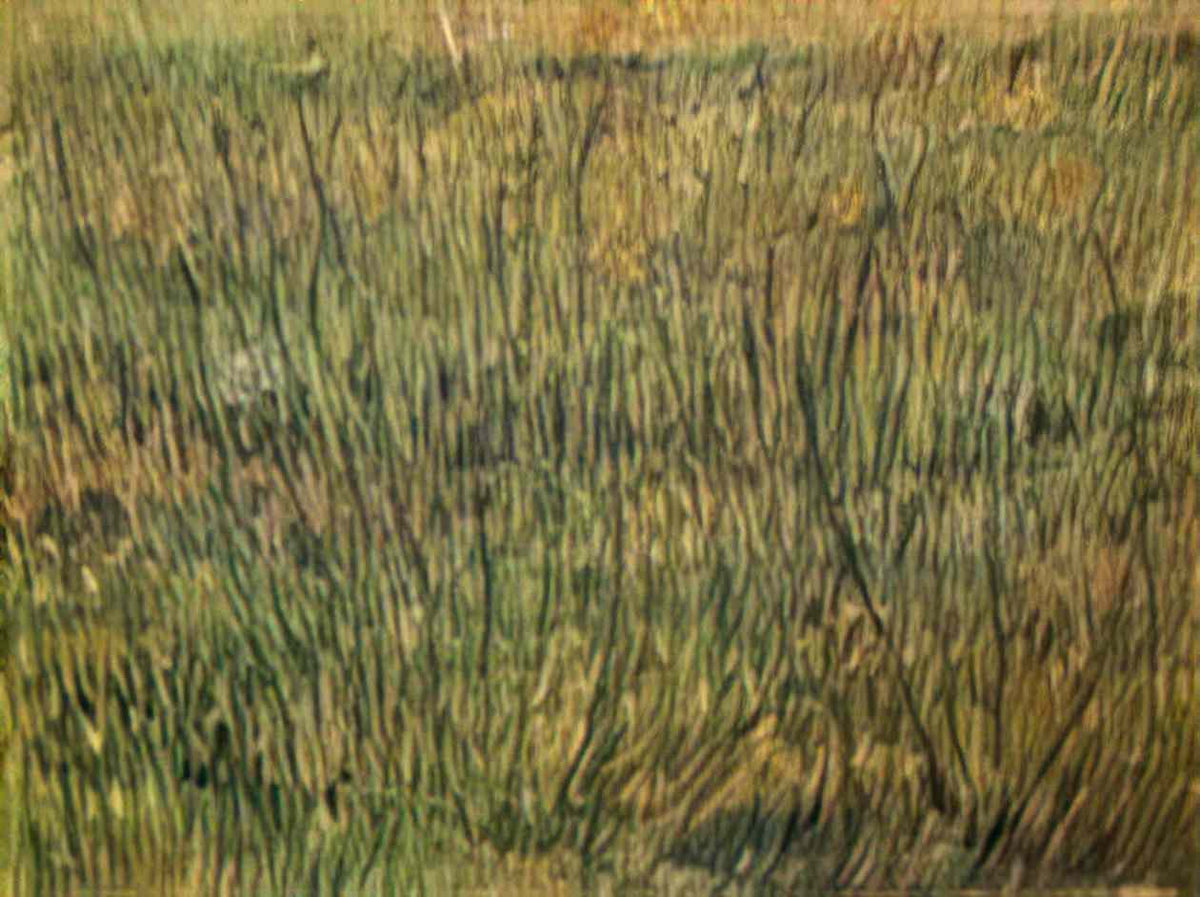 van gogh pasture in bloom 1887 Art A4 Photo Print