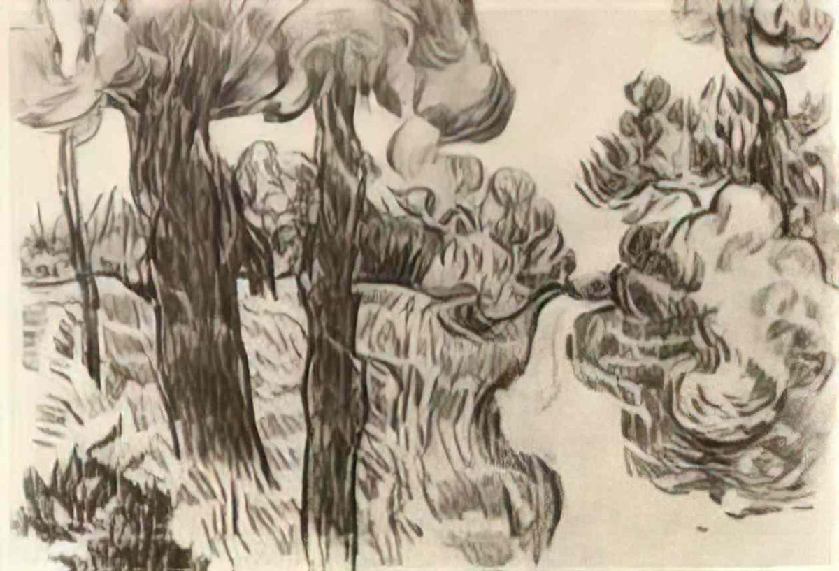 van gogh path between pine trees 1889 Art A4 Photo Print