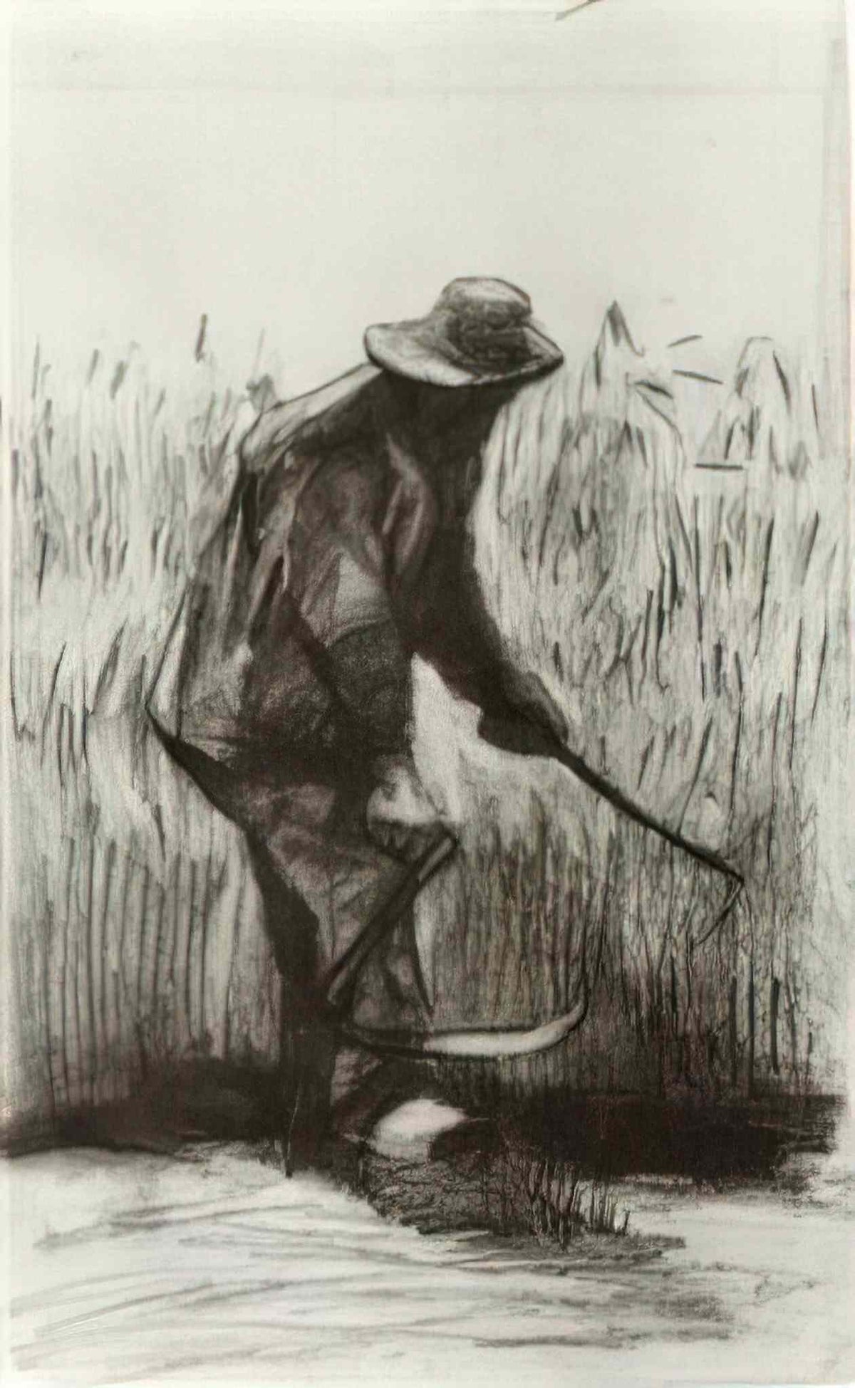 van gogh peasant with sickle seen from the back 1885 1 Art A4 Photo Print