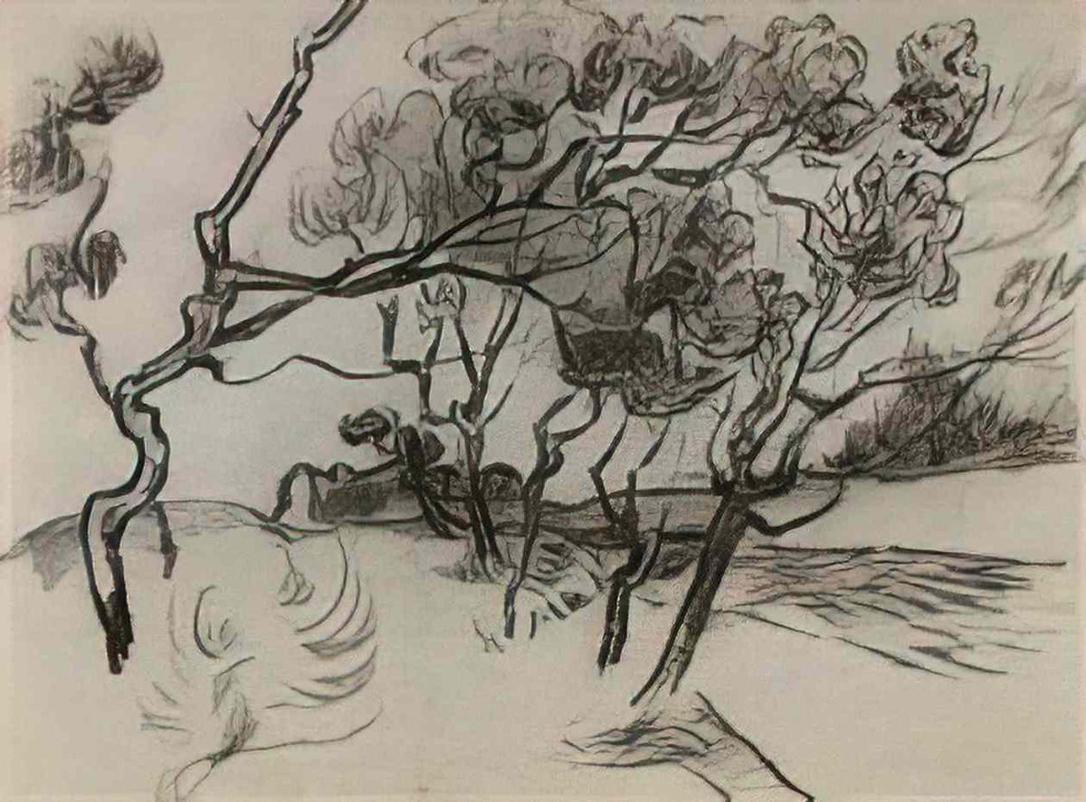van gogh pine trees along a road to a house 1889 Art A4 Photo Print