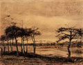 van gogh pine trees in the fen 1884 Art A4 Photo Print