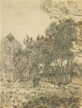 van gogh pine trees near the wall of the asylum 1889 2 Art A4 Photo Print