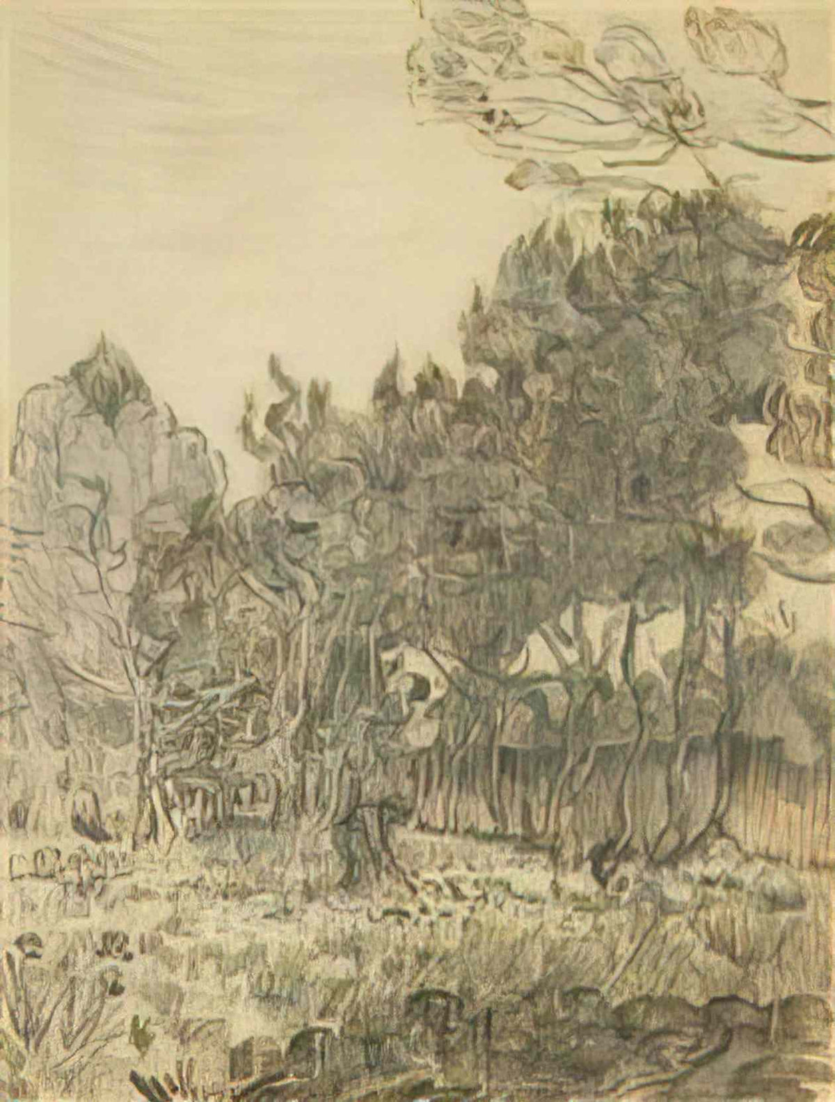 van gogh pine trees near the wall of the asylum 1889 2 Art A4 Photo Print
