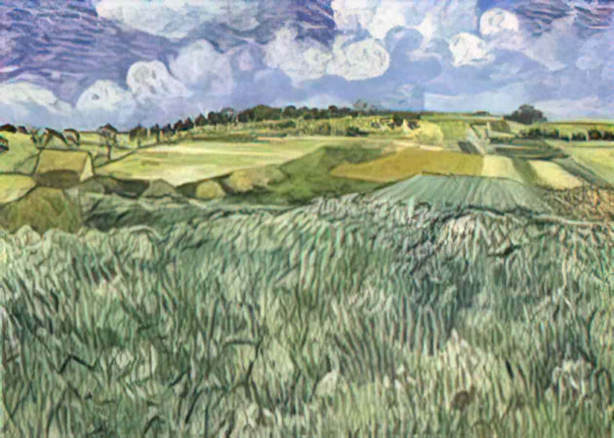 van gogh plain near auvers 1890 Art A4 Photo Print