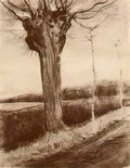 van gogh pollard willow 1881 Art A4 Photo Print