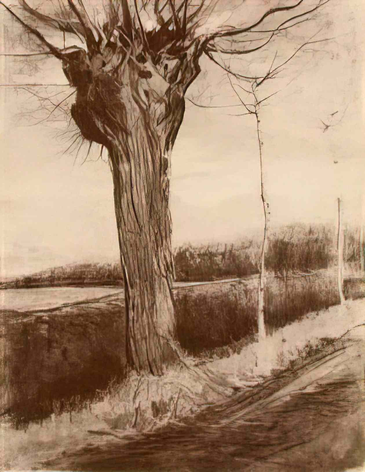 van gogh pollard willow 1881 Art A4 Photo Print