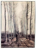 van gogh poplar trees 1884 Art A4 Photo Print