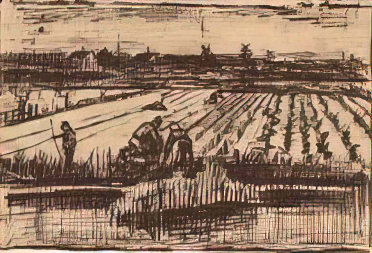 van gogh potato field 1882 Art A4 Photo Print