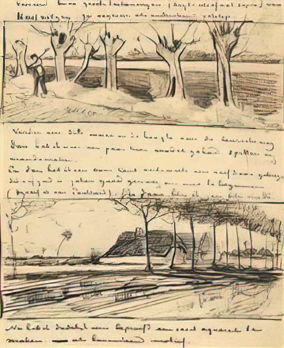 van gogh road with pollard willows 1881 2 Art A4 Photo Print