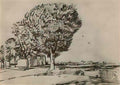 van gogh road with trees 1888 Art A4 Photo Print