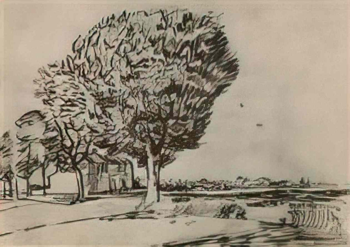van gogh road with trees 1888 Art A4 Photo Print