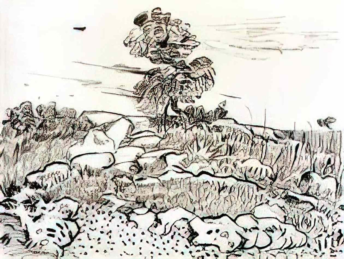 van gogh rocky ground at montmajour Art A4 Photo Print