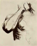 van gogh sketch of a right arm and shoulder 1886 Art A4 Photo Print