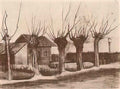 van gogh small house on a road with pollard willows 1881 Art A4 Photo Print