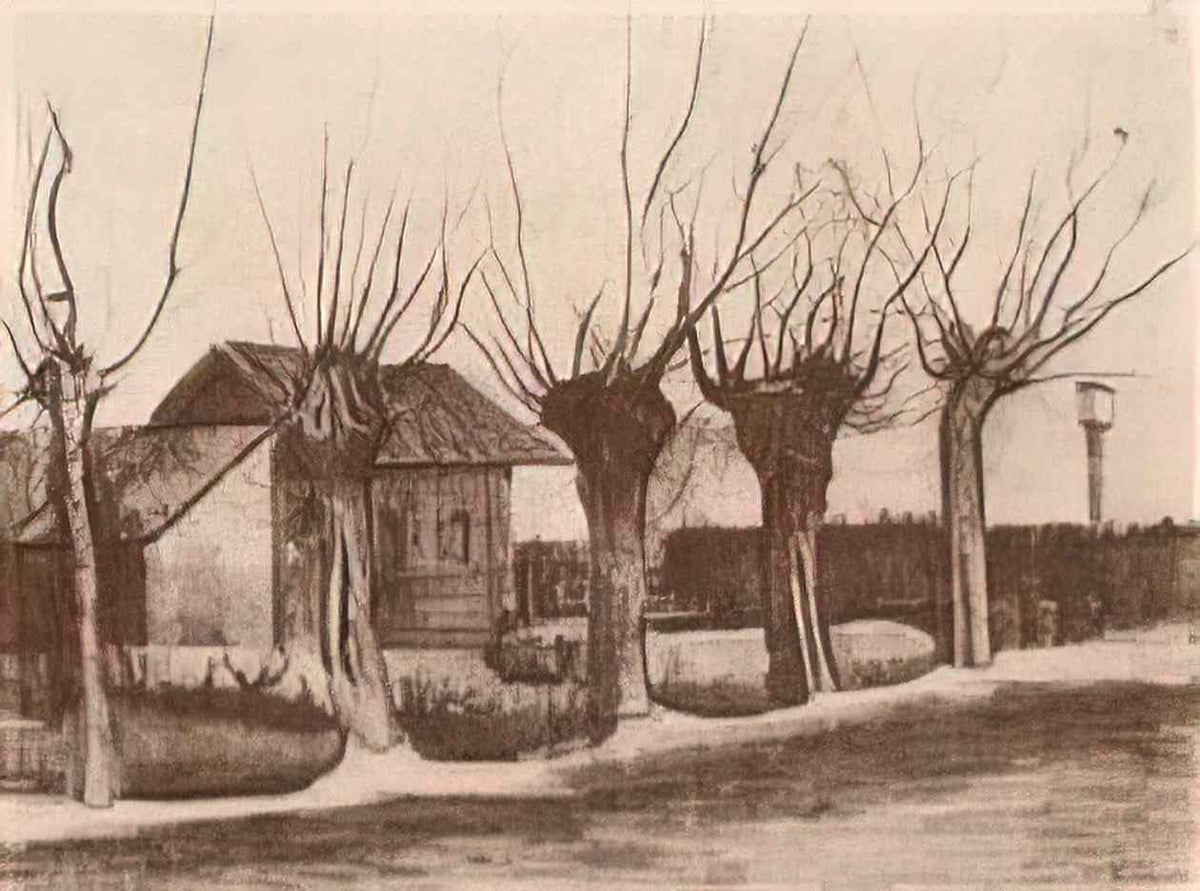 van gogh small house on a road with pollard willows 1881 Art A4 Photo Print