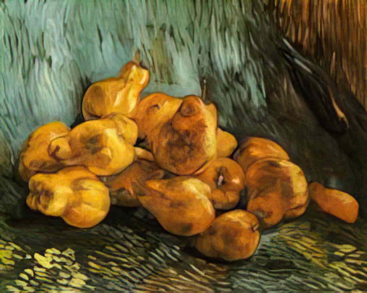 van gogh still life with pears Art A4 Photo Print