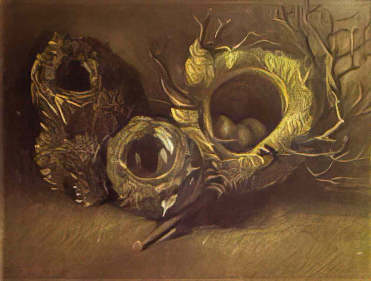 van gogh still life with three birds nests 1885 Art A4 Photo Print