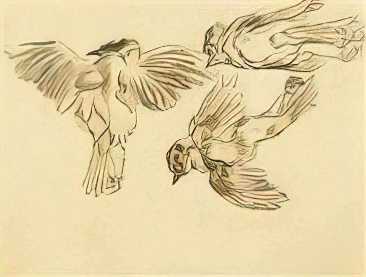 van gogh studies of a dead sparrow 1885 Art A4 Photo Print