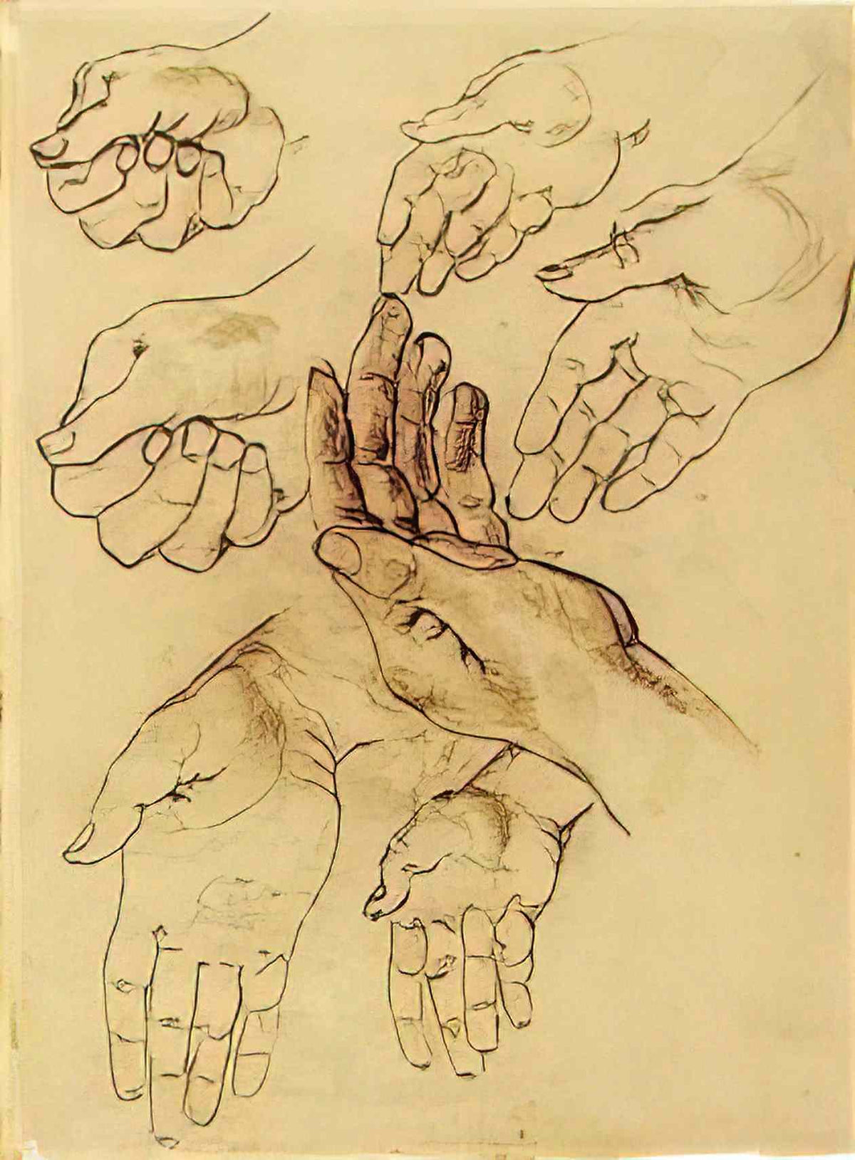 van gogh study sheet with seven hands 1885 Art A4 Photo Print