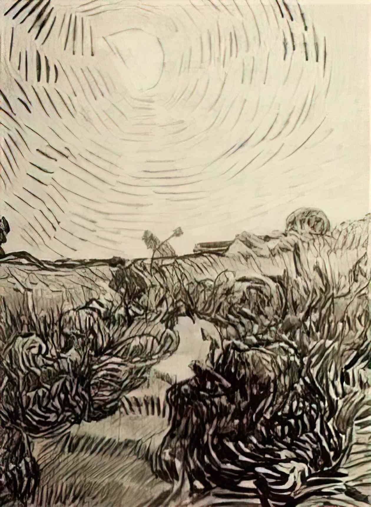 van gogh sun disk above a path between shrubs 1890 Art A4 Photo Print