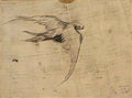 van gogh swift 1887 Art A4 Photo Print
