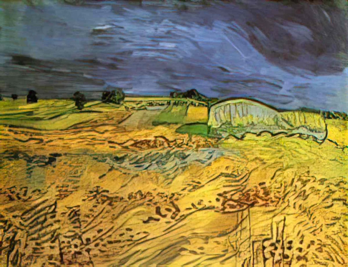 van gogh the fields 1890 Art A4 Photo Print