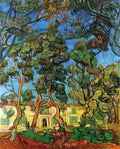 van gogh the grounds of the asylum 1889 Art A4 Photo Print