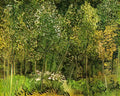 van gogh the grove 1890 Art A4 Photo Print