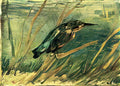 van gogh the kingfisher 1886 Art A4 Photo Print