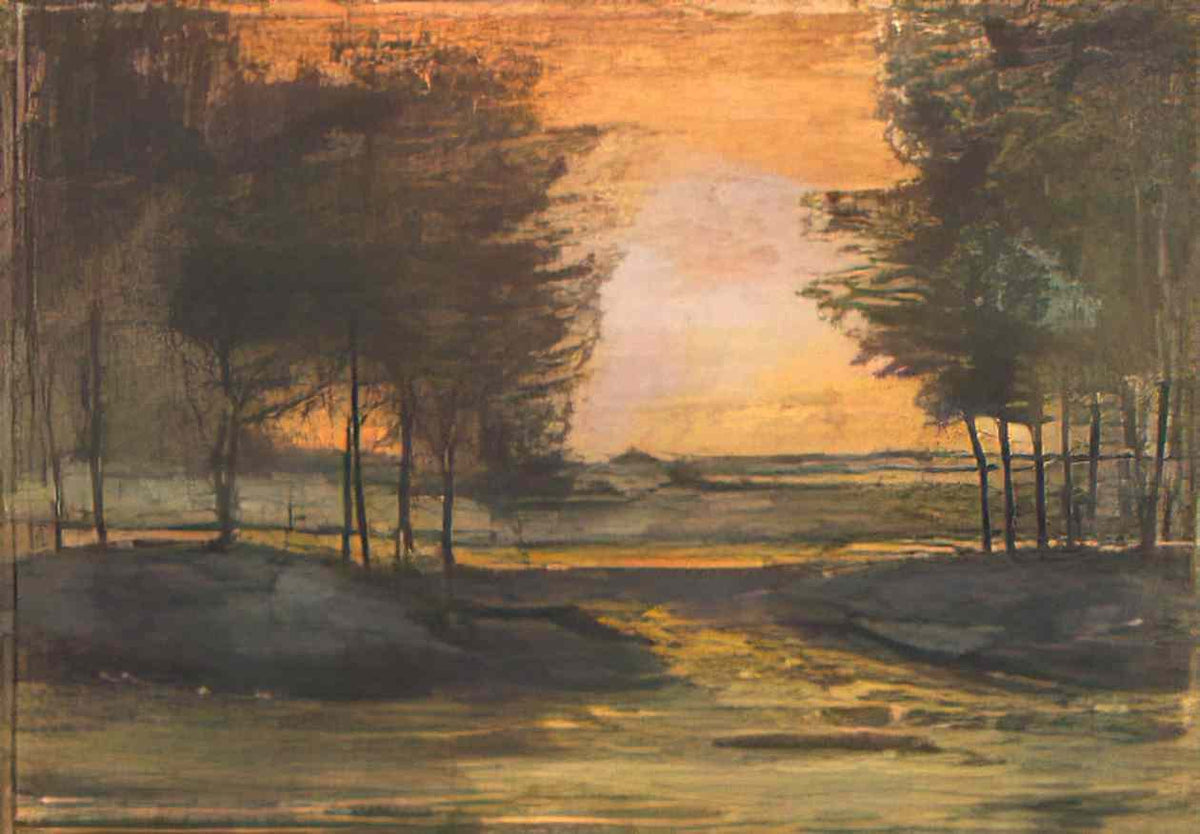 van gogh the landscape in drenthe 1883 Art A4 Photo Print