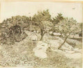 van gogh the olive trees 1888 Art A4 Photo Print