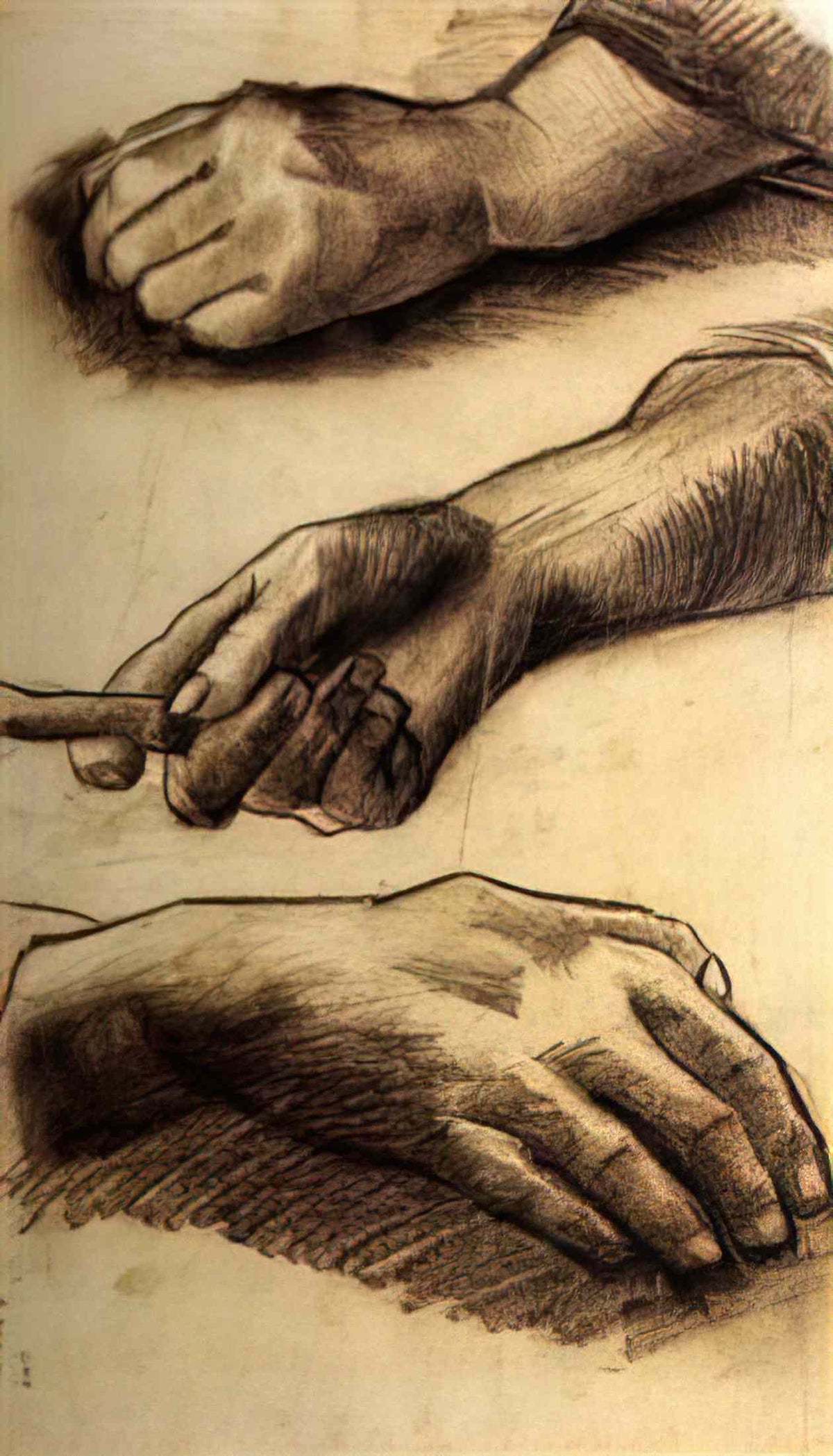 van gogh three hands Art A4 Photo Print