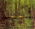 van gogh trees and undergrowth 1887 Art A4 Photo Print