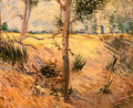 van gogh trees in a field on a sunny day 1887 Art A4 Photo Print