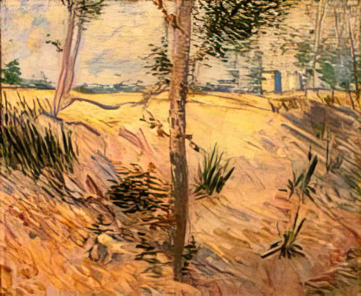 van gogh trees in a field on a sunny day 1887 Art A4 Photo Print