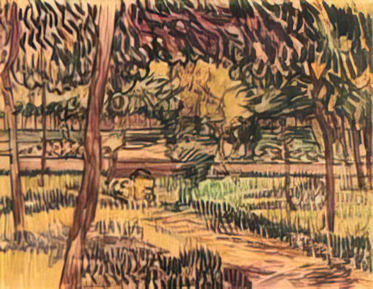 van gogh trees in the garden of the asylum 1889 Art A4 Photo Print