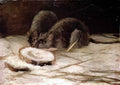 van gogh two rats 1884 Art A4 Photo Print