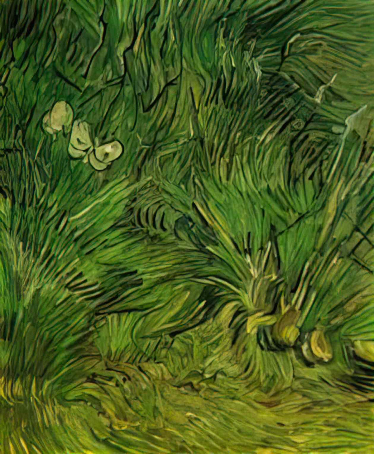 van gogh two white butterflies 1889 Art A4 Photo Print