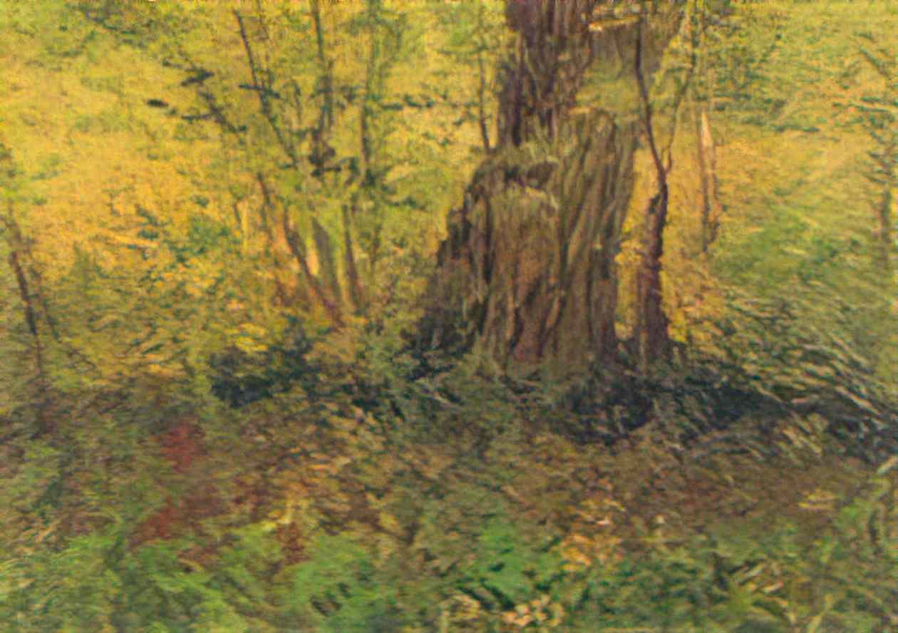 van gogh undergrowth 1887 1 Art A4 Photo Print