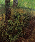 van gogh undergrowth 1887 Art A4 Photo Print