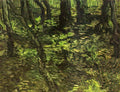 van gogh undergrowth with ivy 1889 Art A4 Photo Print