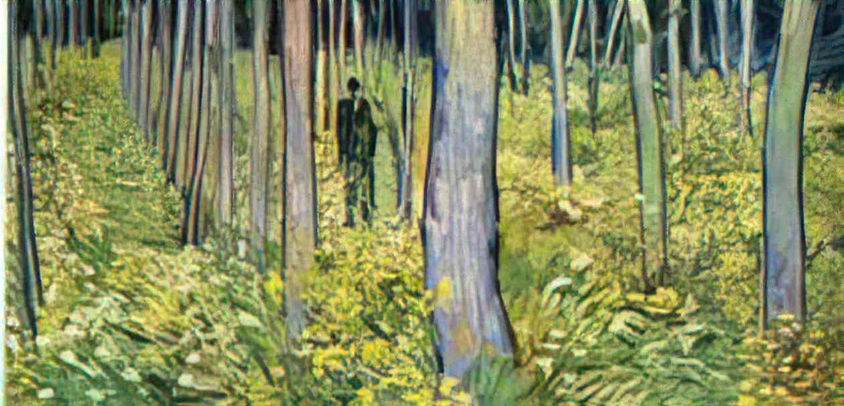 van gogh undergrowth with two figures 1890 Art A4 Photo Print