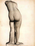van gogh venus Art A4 Photo Print
