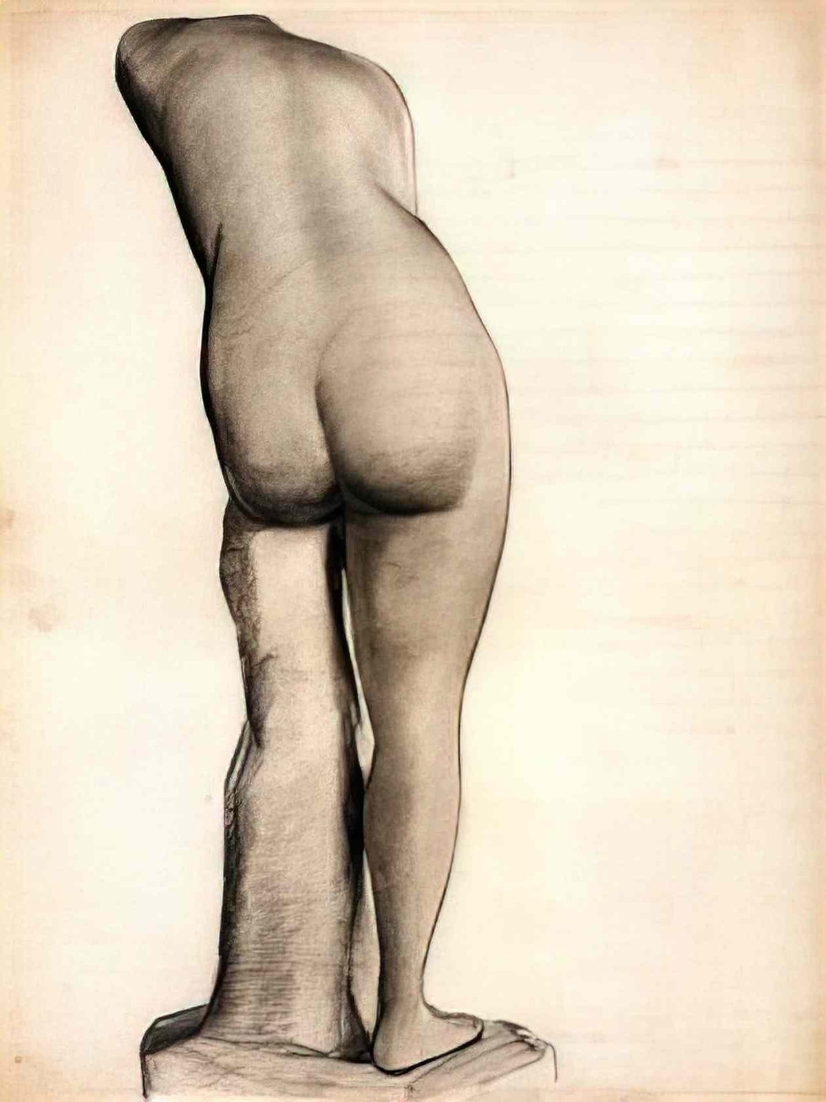 van gogh venus Art A4 Photo Print