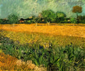 van gogh view of arles with irises in the foreground 1888 Art A4 Photo Print