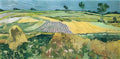 van gogh wheatfields 1890 Art A4 Photo Print