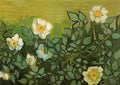 van gogh wild roses 1890 Art A4 Photo Print